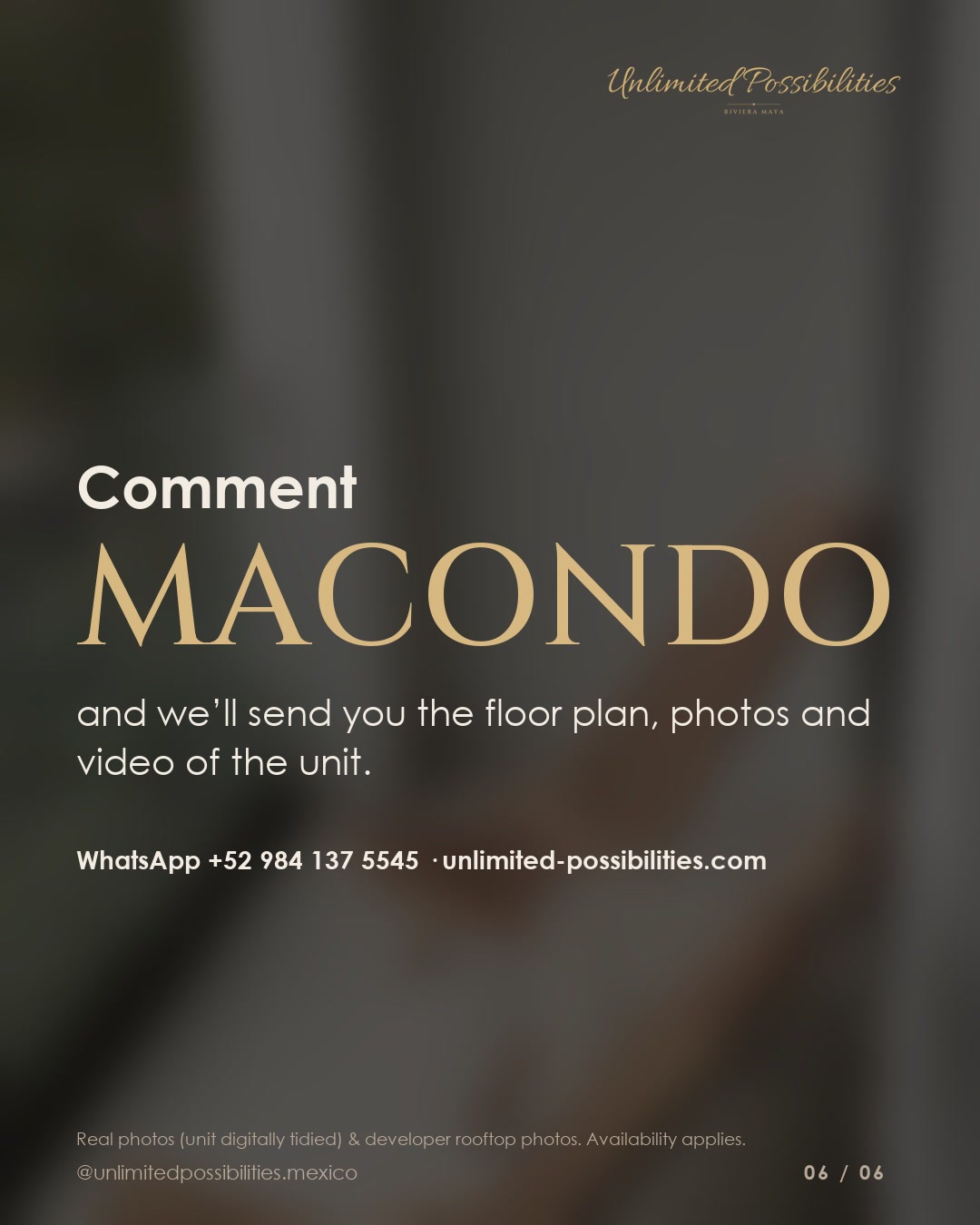 Macondo Quinta Avenida · highlights 06